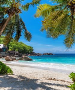 Пляж на Сейшельских островах