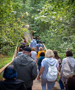 тур в Карелию