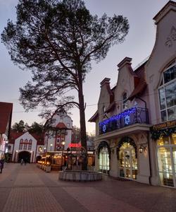 Экскурсия по Светлогорску