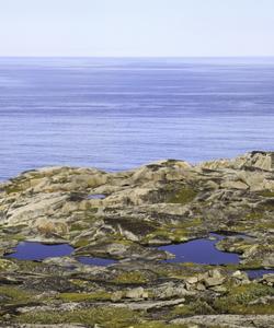 Баренцево море