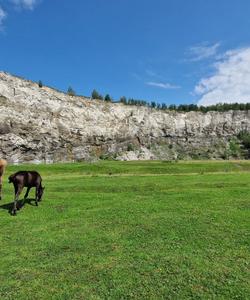 Местный пейзаж