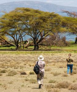 Трек к кратеру вулкана Лонгонот