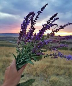 Тур в Аркаим