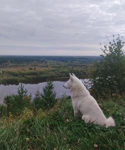 Тур в Пермский край