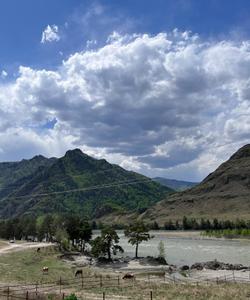 Горный Алтай