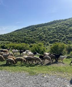 Тур по Азербайджану