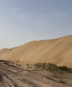 Пустыня Каракум 