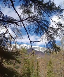 Тункинская долина