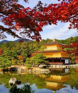 Золотой павильон Кинкакудзи