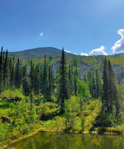 Поход по Поднебесным Зубьям