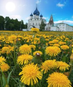 тур по Золотому кольцу