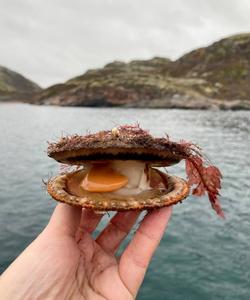 Тур на Кольский полуостров