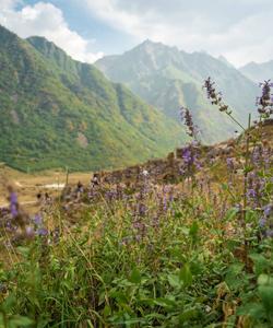 кавказские горы