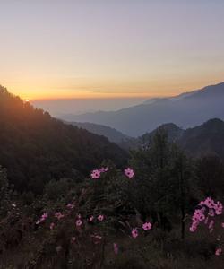 Природа Индии