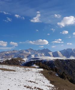 Местные пейзажи