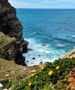 Местный пейзаж