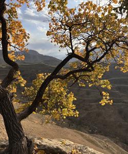 Чохские террасы