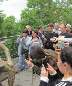 Экскурсия в Кахетию
