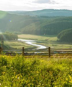 Местные пейзажи