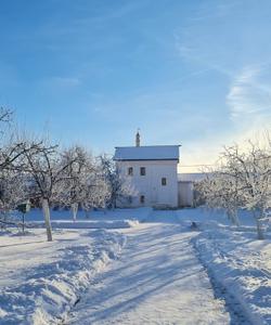 Территория Ростовского кремля