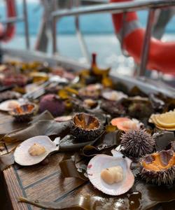 Местные деликатесы