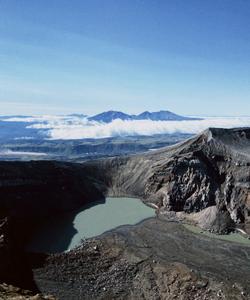 Местная природа