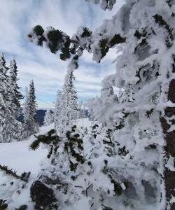 Тур в Сибирь зимой