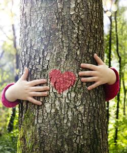 Семейный тур в Карелию