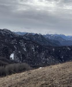 Местный пейзаж