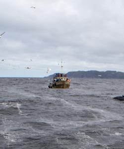 Морская прогулка в Териберке