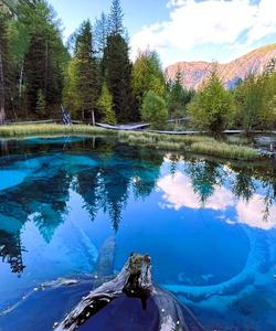 Местные пейзажи 