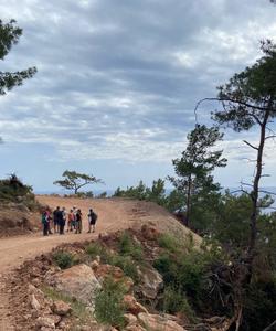 Местный пейзаж