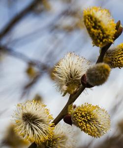 Тур на Кавказ