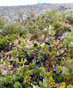 Уральская природа