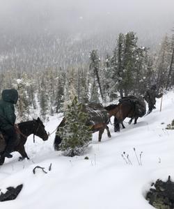 Тур в Тофаларию