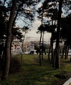 Вид на Босфорский мост