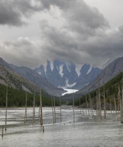 Местный пейзаж