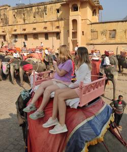 Прогулка на слоне в Индии