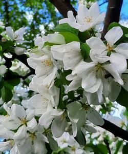 Весенний тур в Карелию