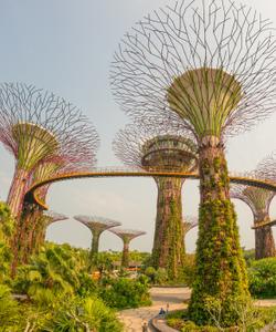 Сады у залива в Сингапуре