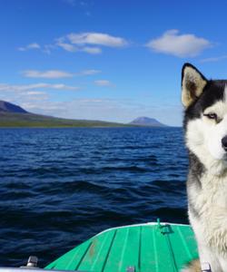 Тур на плато Путорана