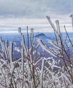 зима в Пятигорске