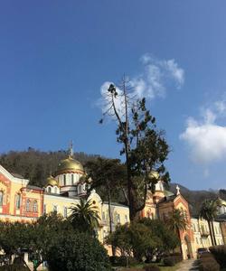 тур в Абхазию