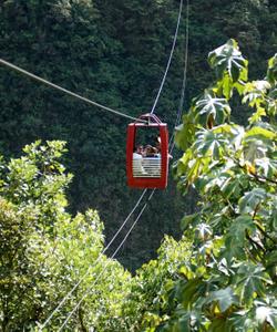 Зиплайн в парке Данао Адвенчер