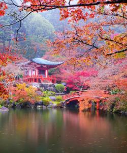 Парк в Японии