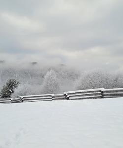 Поселок Листвянка