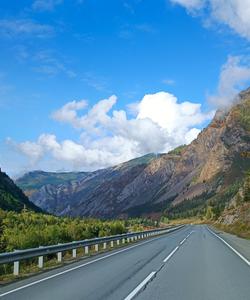 Местные пейзажи 