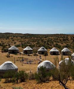 Пустыня Кызылкум