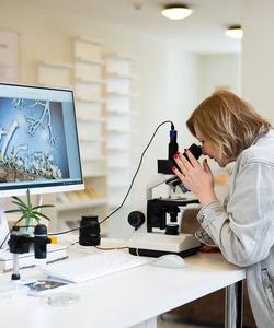 Семейный лагерь в Карелии