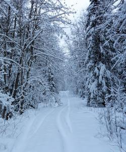 Снежные пейзажи